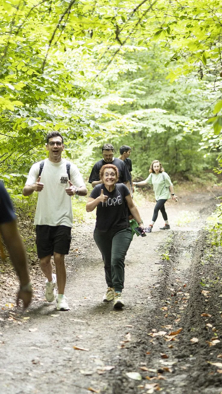 Group walking along a forest trail