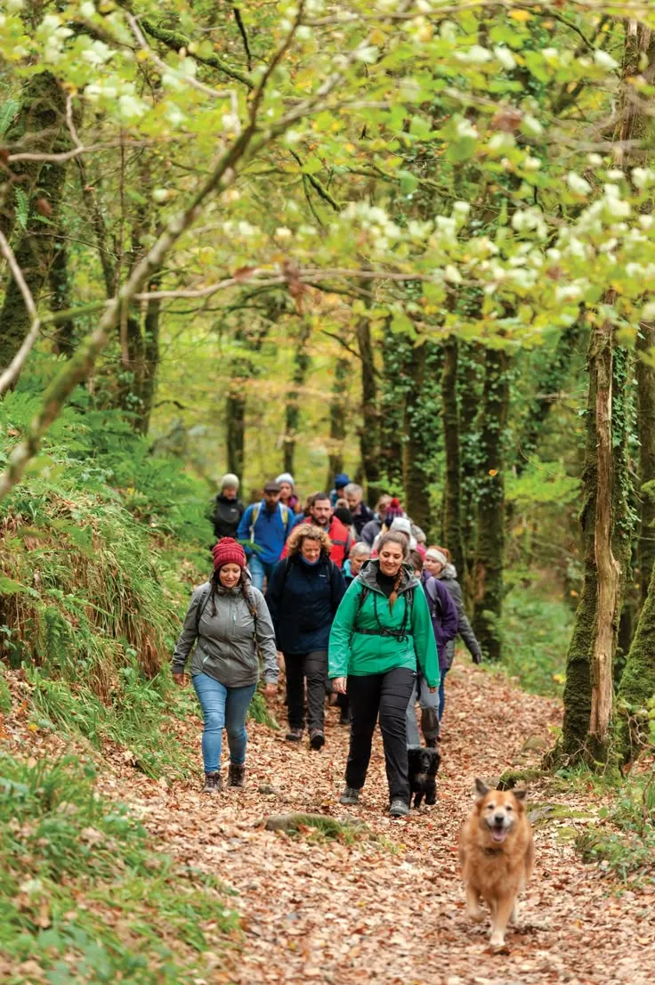 Walking group in conversation on a path